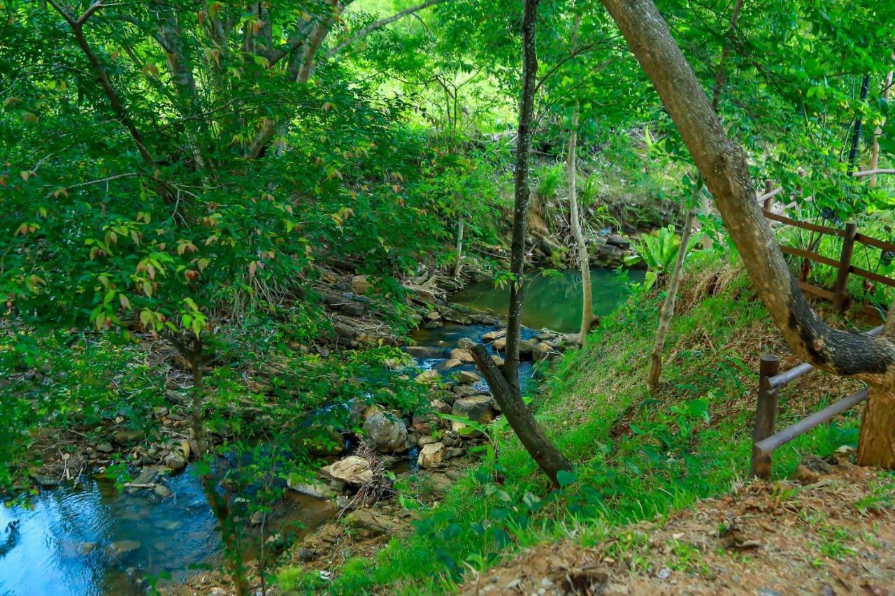 Doola River Edge Udawalawe Esterno foto