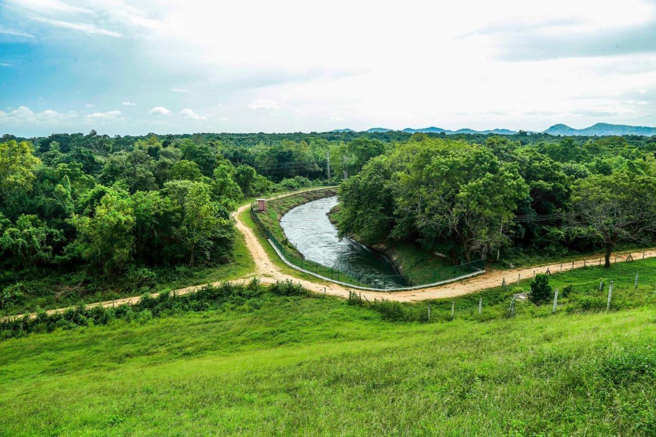 Doola River Edge Udawalawe Esterno foto