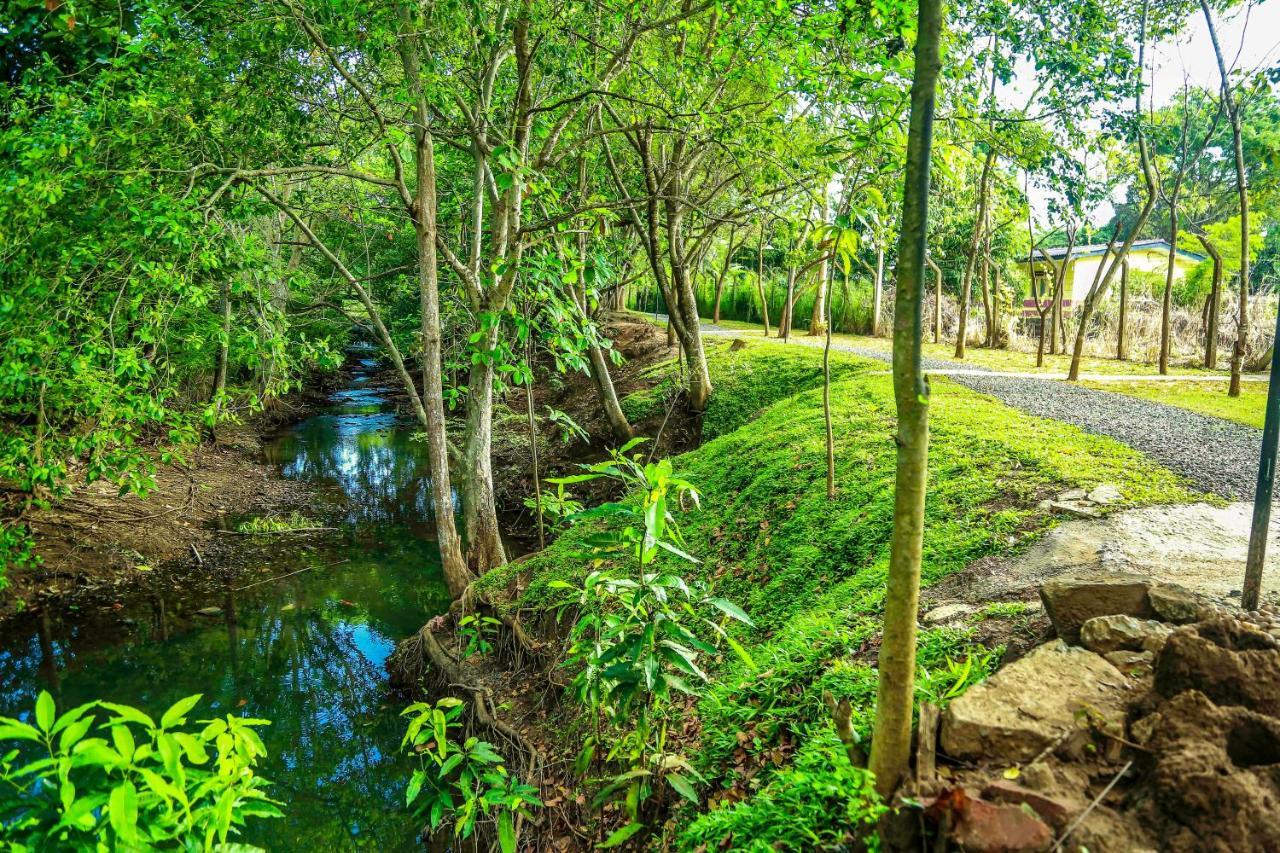 Doola River Edge Udawalawe Esterno foto